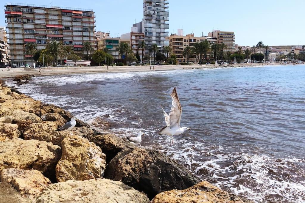 Bright Apartment En Santa Pola Ngoại thất bức ảnh